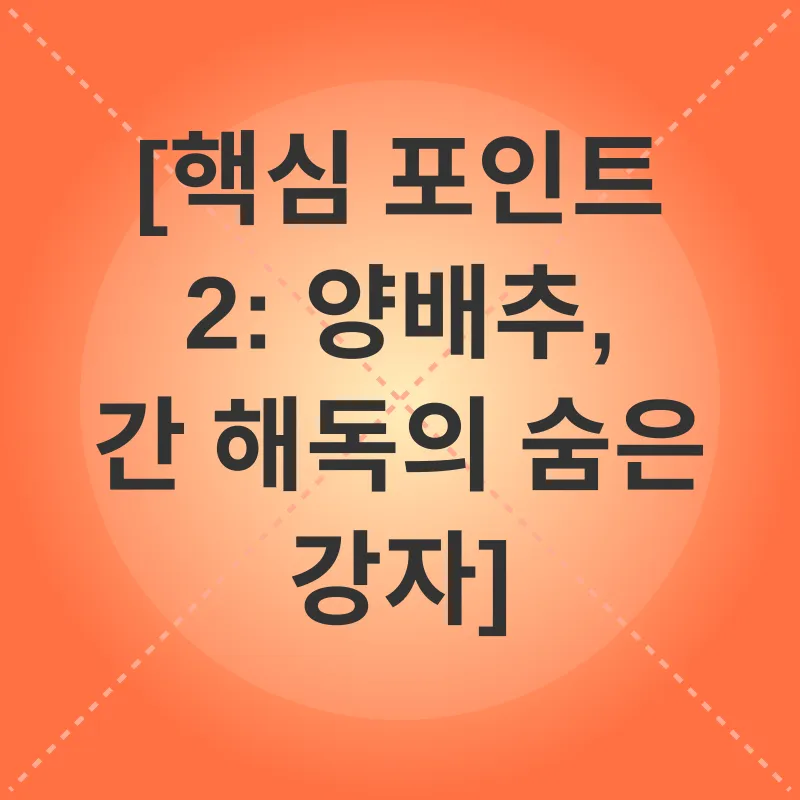 간 해독_2