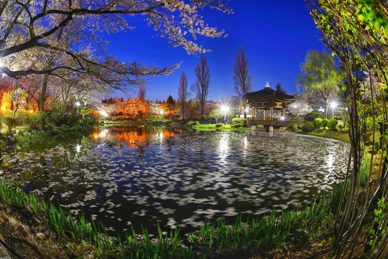 2024 경주 가볼만한곳 시내 유적지 왕릉 놀거리 2박3일 코스