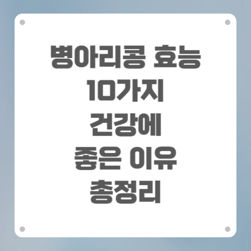 병아리콩 효능 10가지 건강에 좋은 이유 총정리