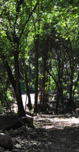 숲나들e 가리산 자연휴양림 국내여행지추천 관련사진