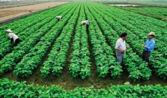 공익직불금 신청하기