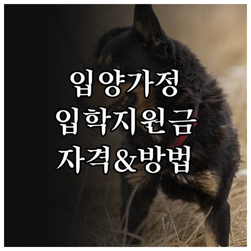 2025 이천시 입양가정 위한 입학지..