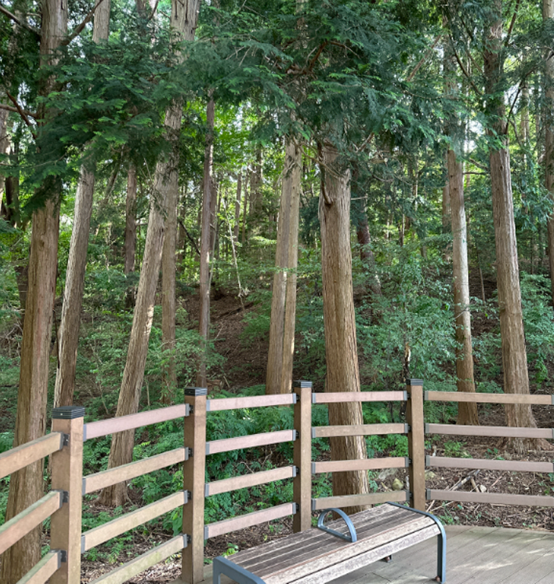 양산 법기수원지