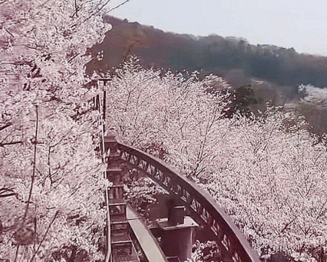 2025 화담숲 모노레일 예약 야놀자