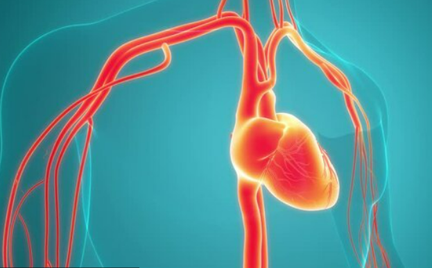 전남 신규 심뇌혈관질환 센터 설립 발표