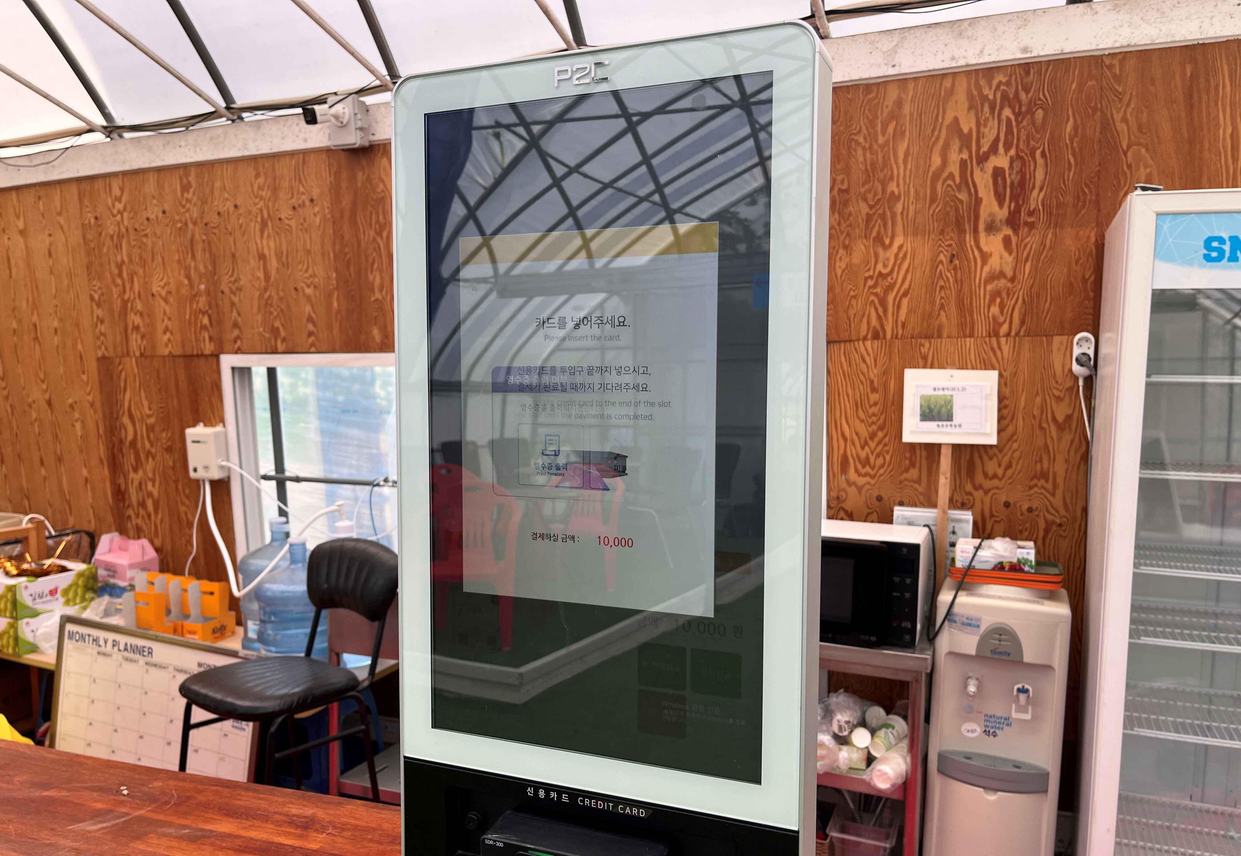 속초 영랑호 수국축제 속초수목농원