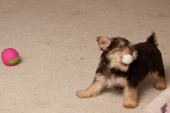 서울이웃분쟁조정센터 이용방법 