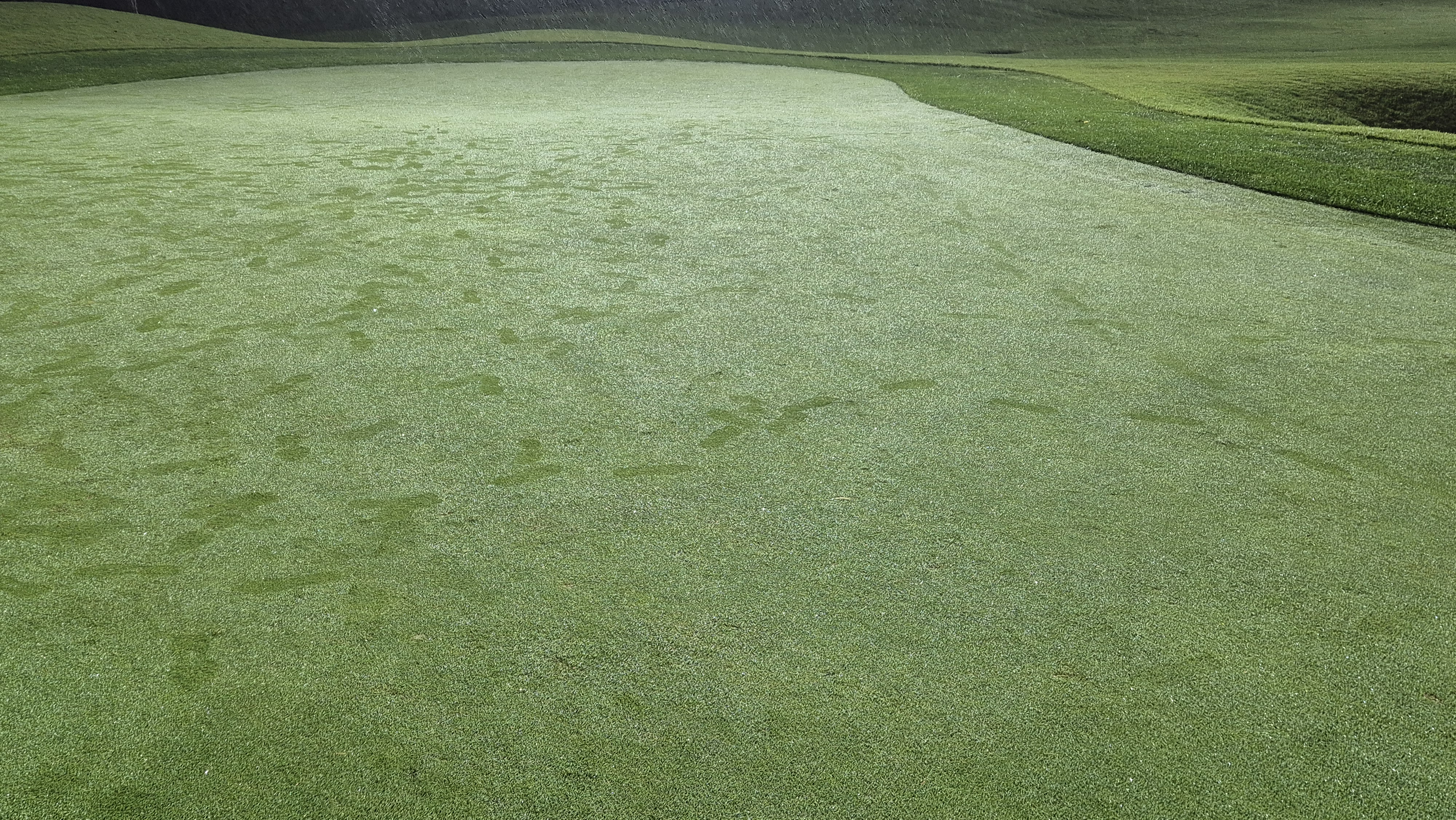 블루원용인cc 그린 관리 상태