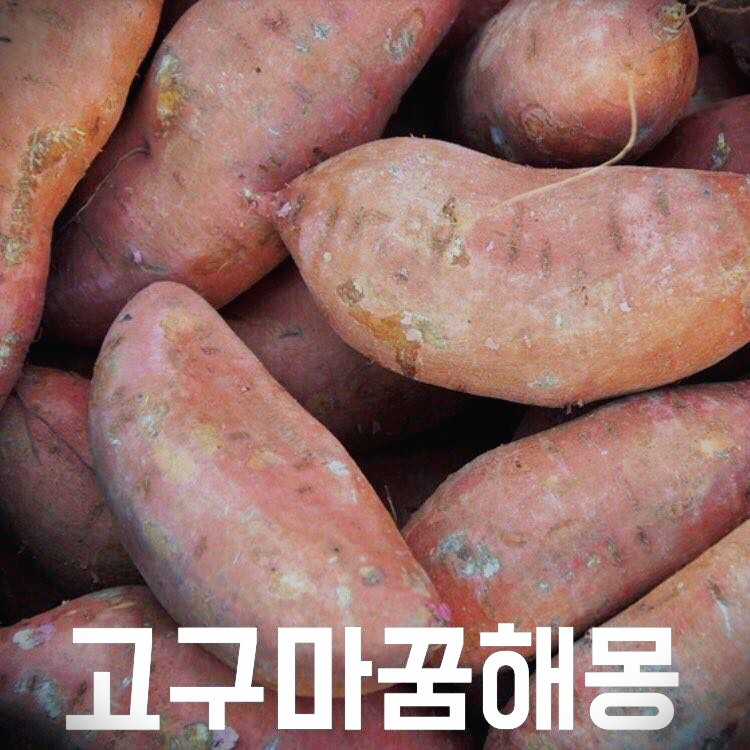 고구마 꿈