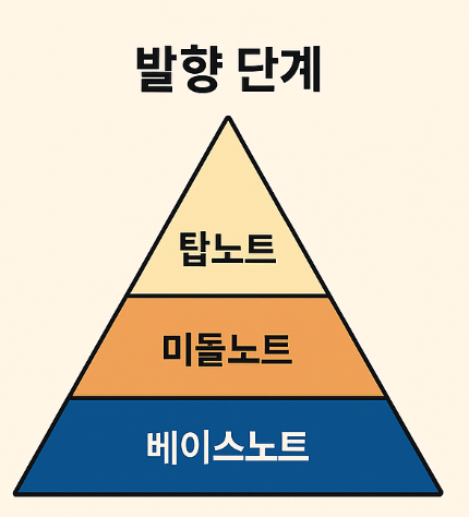 향수 발향단계 및 구조 이해를 위한 조향 입문 인포그래픽 - 탑노트, 미들노트, 베이스노트