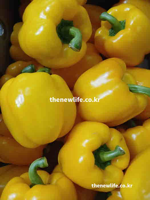 파프리카 효능 부작용 칼륨 함량