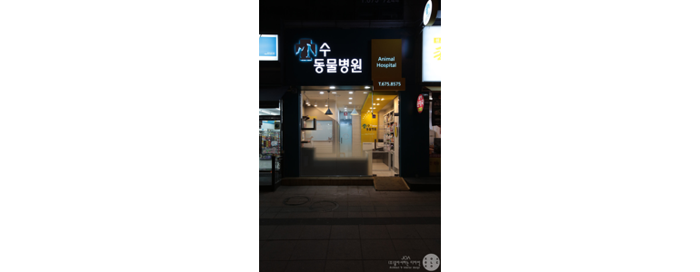 부천 오정구 동물병원