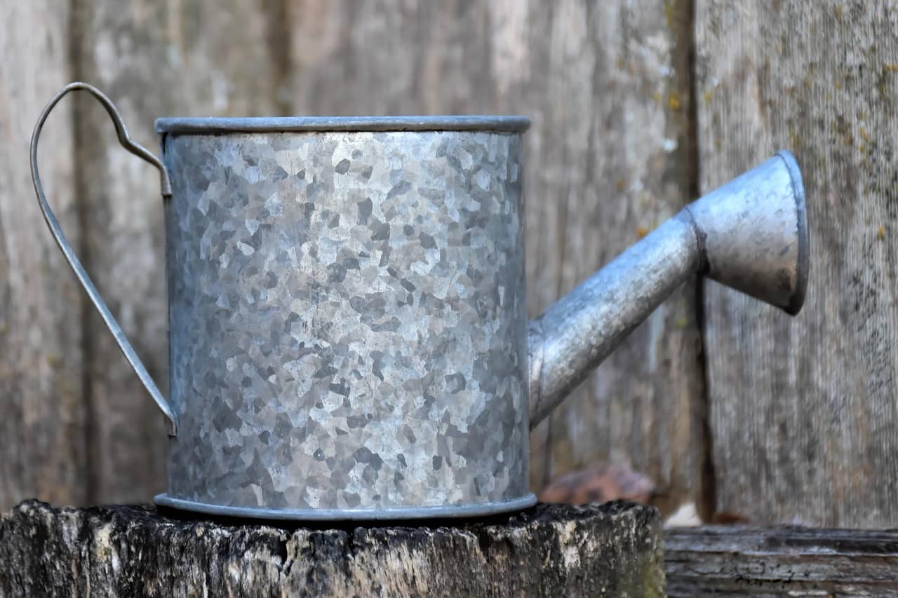 물 주기 실수 방지 방법 – 초보자를 위한 실내 식물 물 주기 노하우