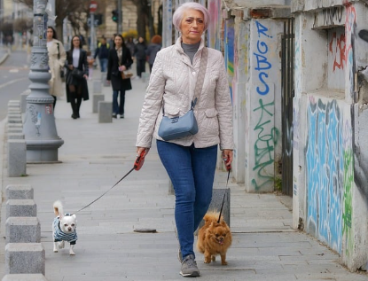 반려견 목줄 미 착용 왜 문제가 될까, 벌금 기준과 신고 방법