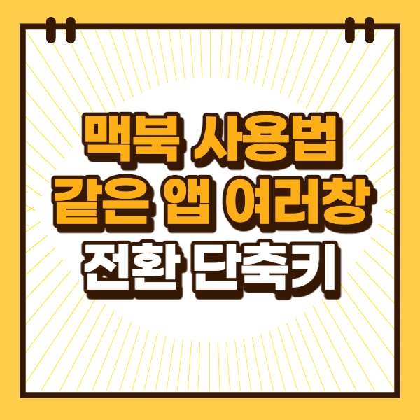 섬네일