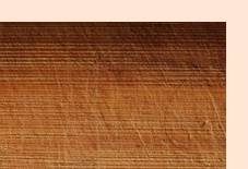 장이 부었을때 증상