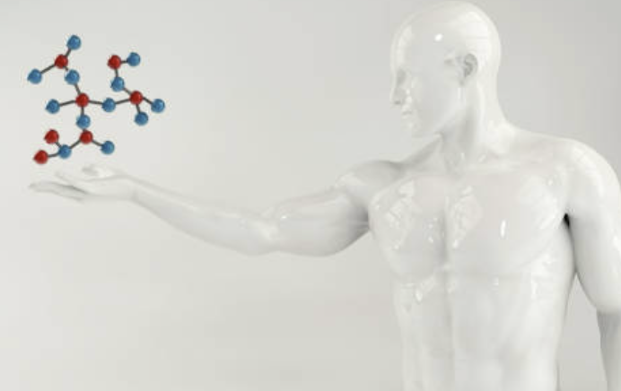 Targeted metabolomics를 이용한 약물 대사 경로 규명