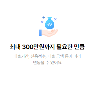 소액대출 300만원