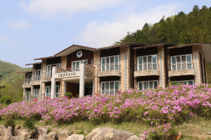 국립남해편백자연휴양림