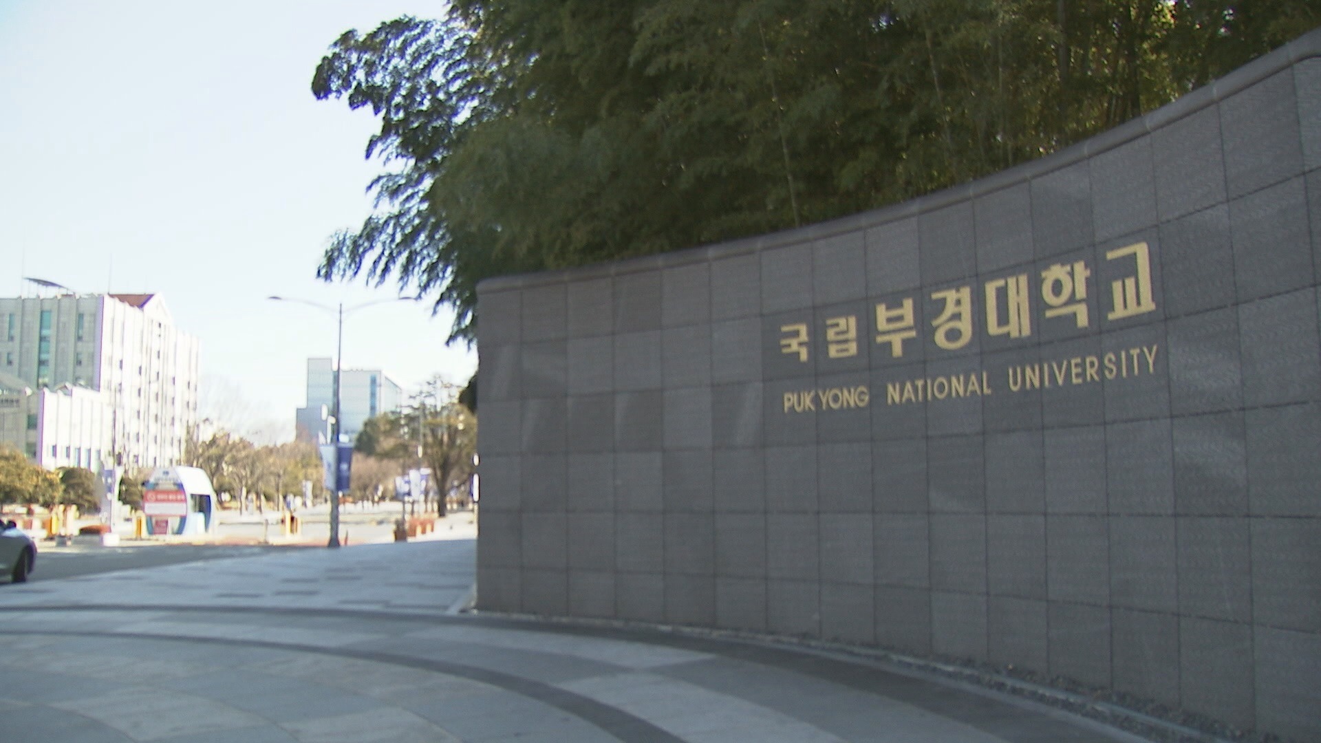 부산 부캉이 멸종위기종 암컷 흑상어