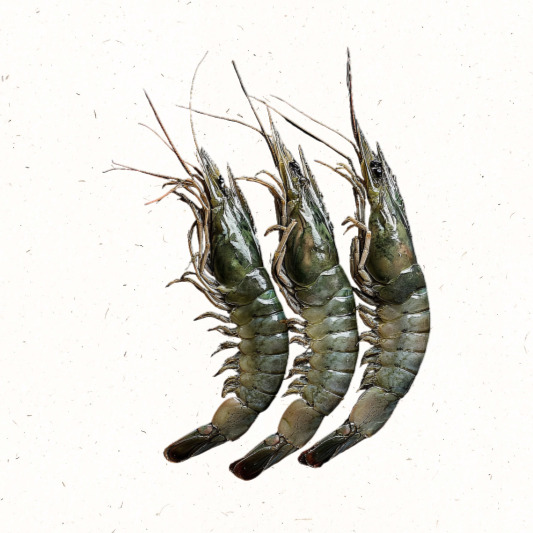 대하 택배 직송