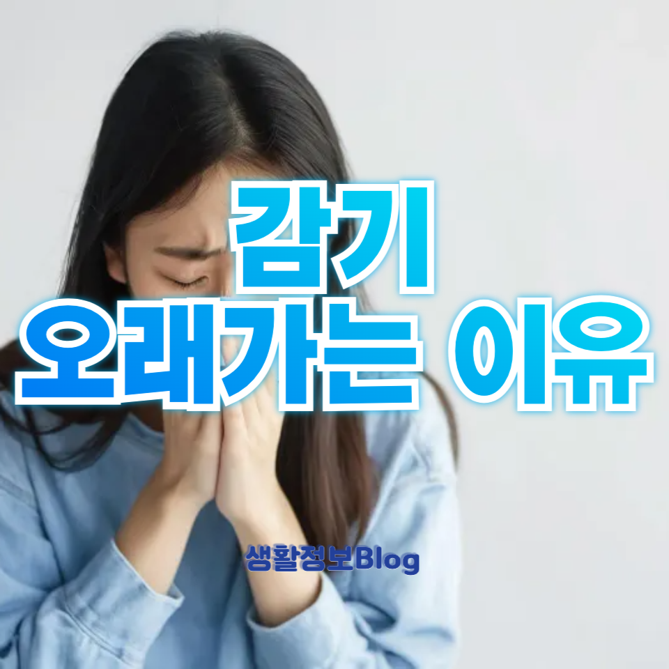 감기 오래가는 이유