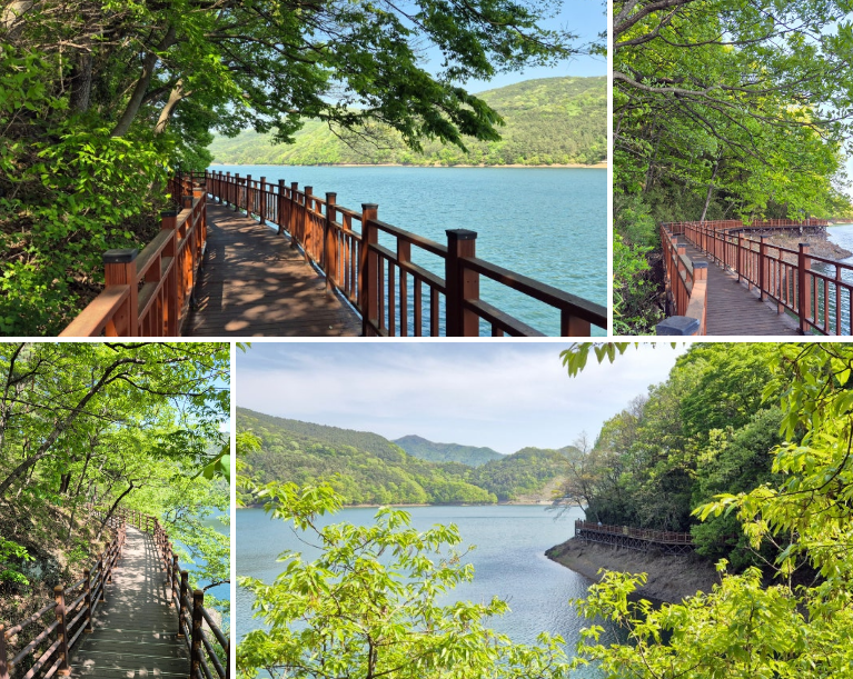 장성호 수변데크길 사진