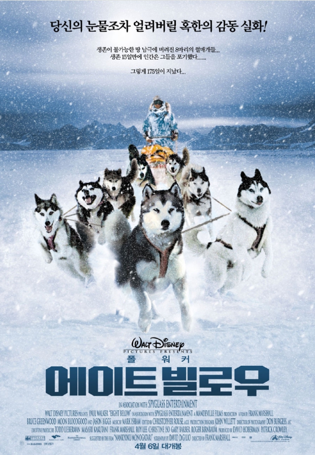 에이트 빌로우 영화 관련 포스터