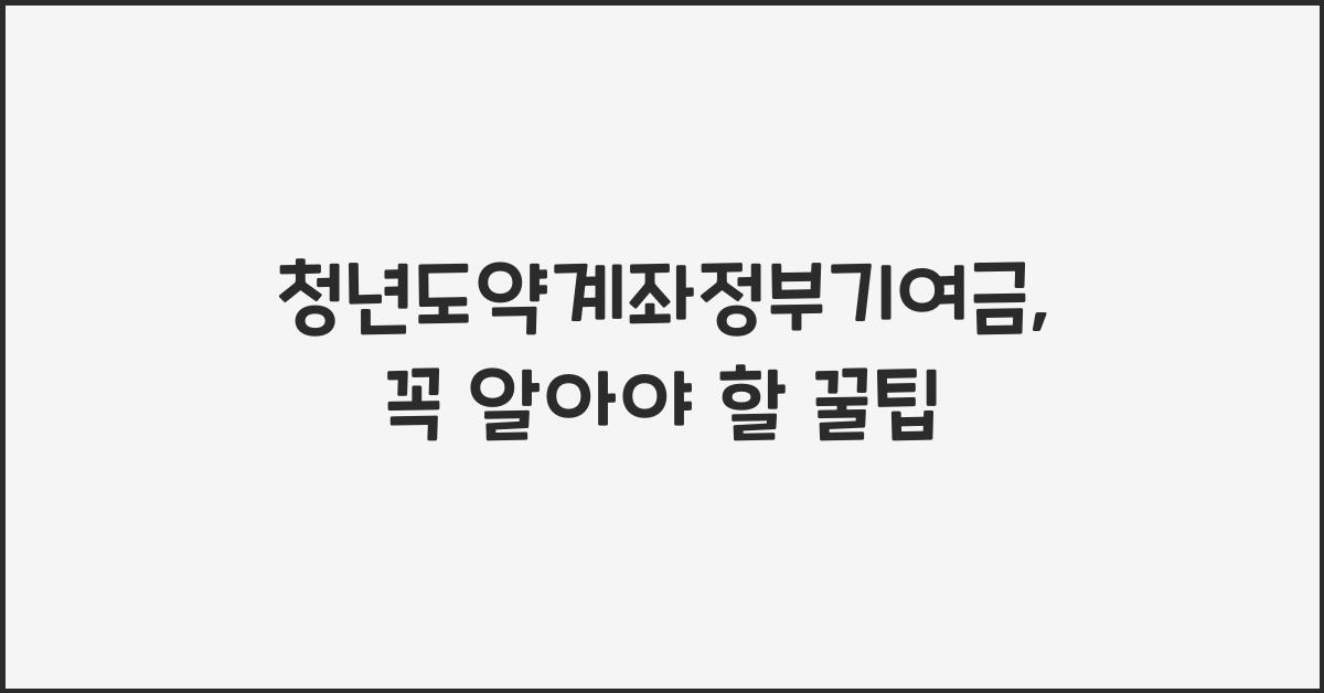 청년도약계좌정부기여금