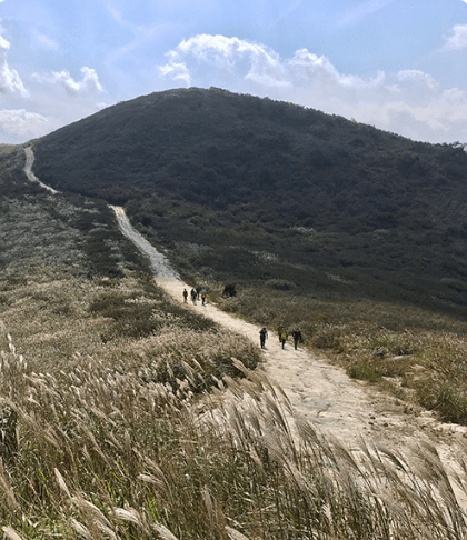 황매산
