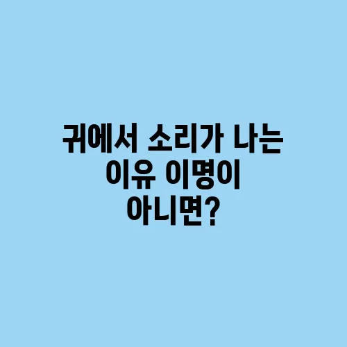 귀에서 소리가 나는 이유 이명이 아니면?