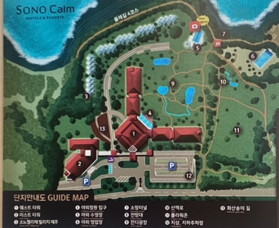 제주 하트나무 포토존 위치