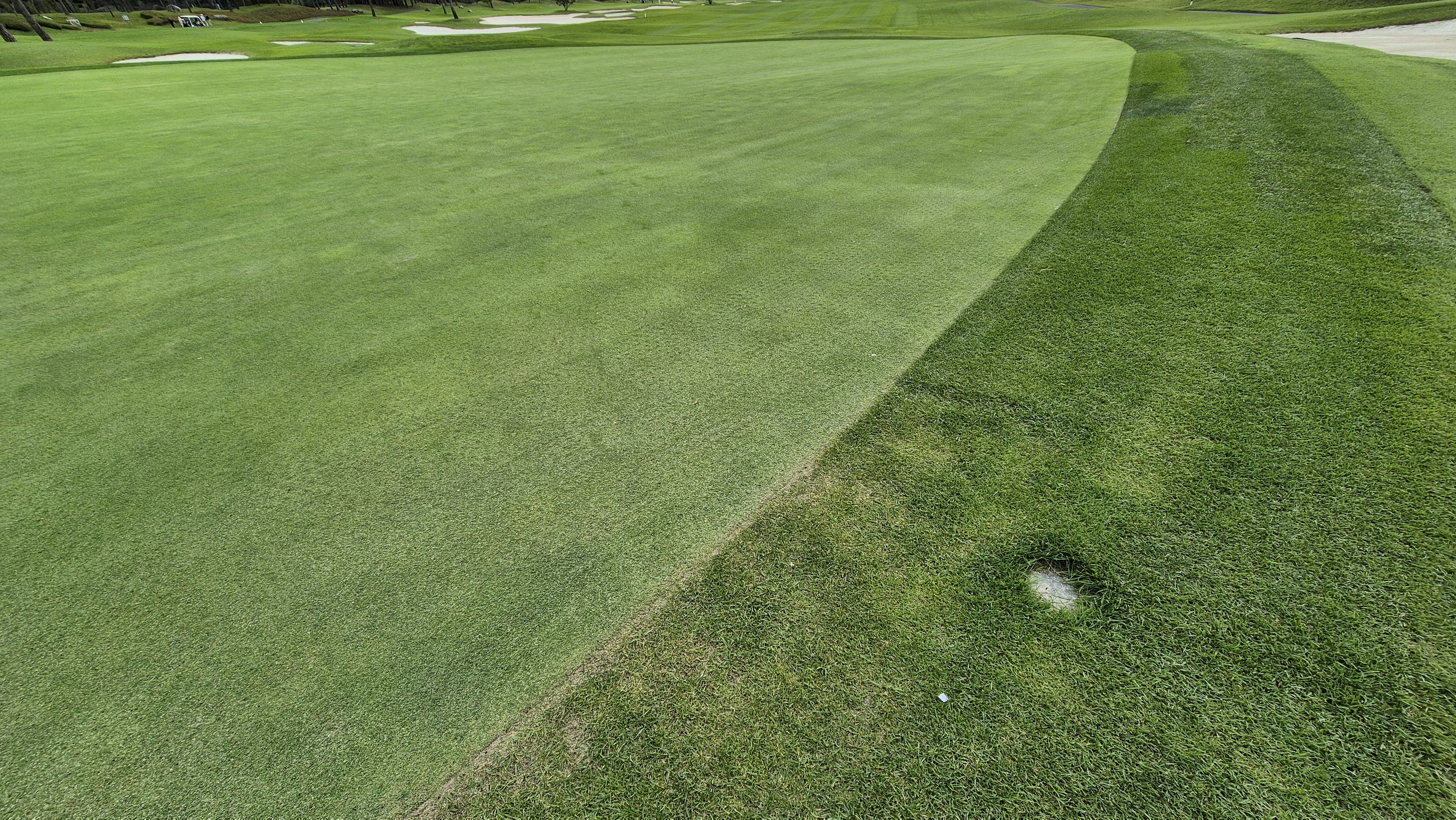 파인스톤cc 그린 관리 상태