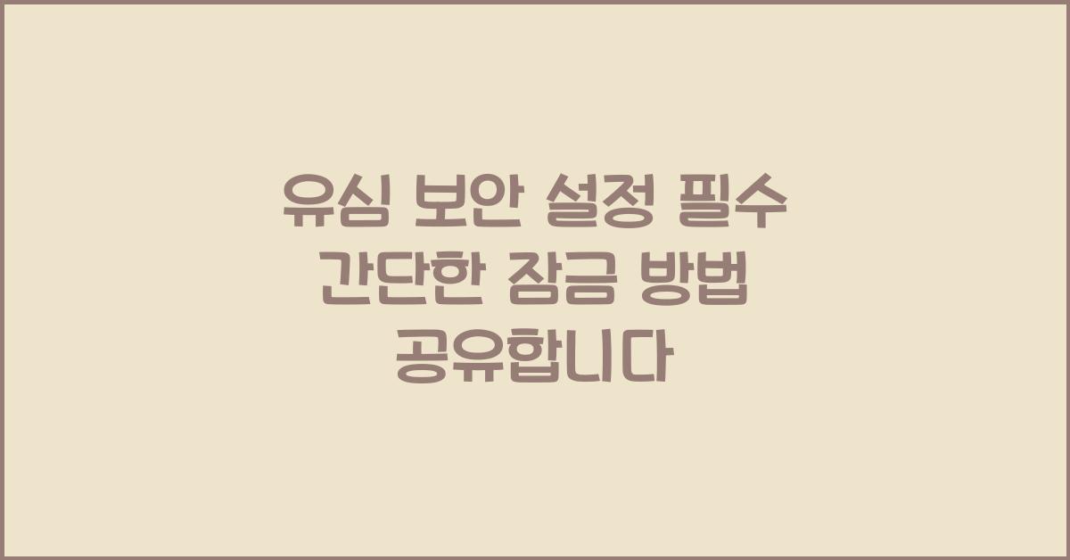 usim 보안 설정