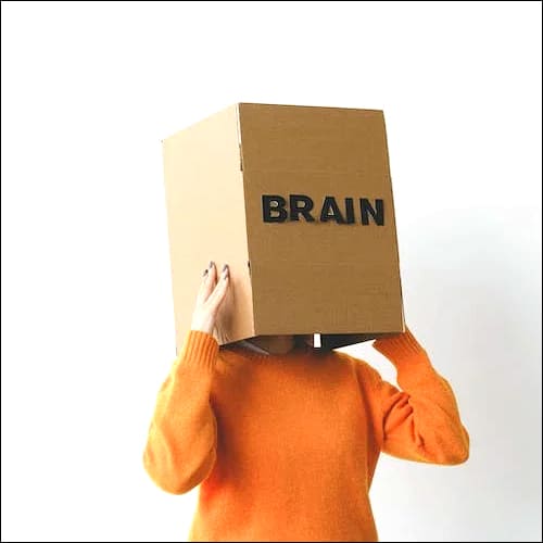 머리에 박스를 쓰고 있는 사람