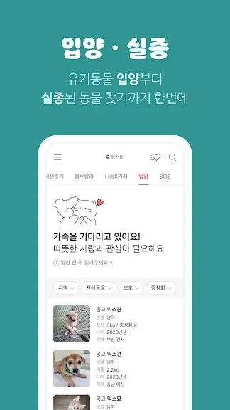유기묘 새끼 고양이 무료 분양 어플 앱-29 유기묘 새끼 고양이 무료 분양 어플 앱-29