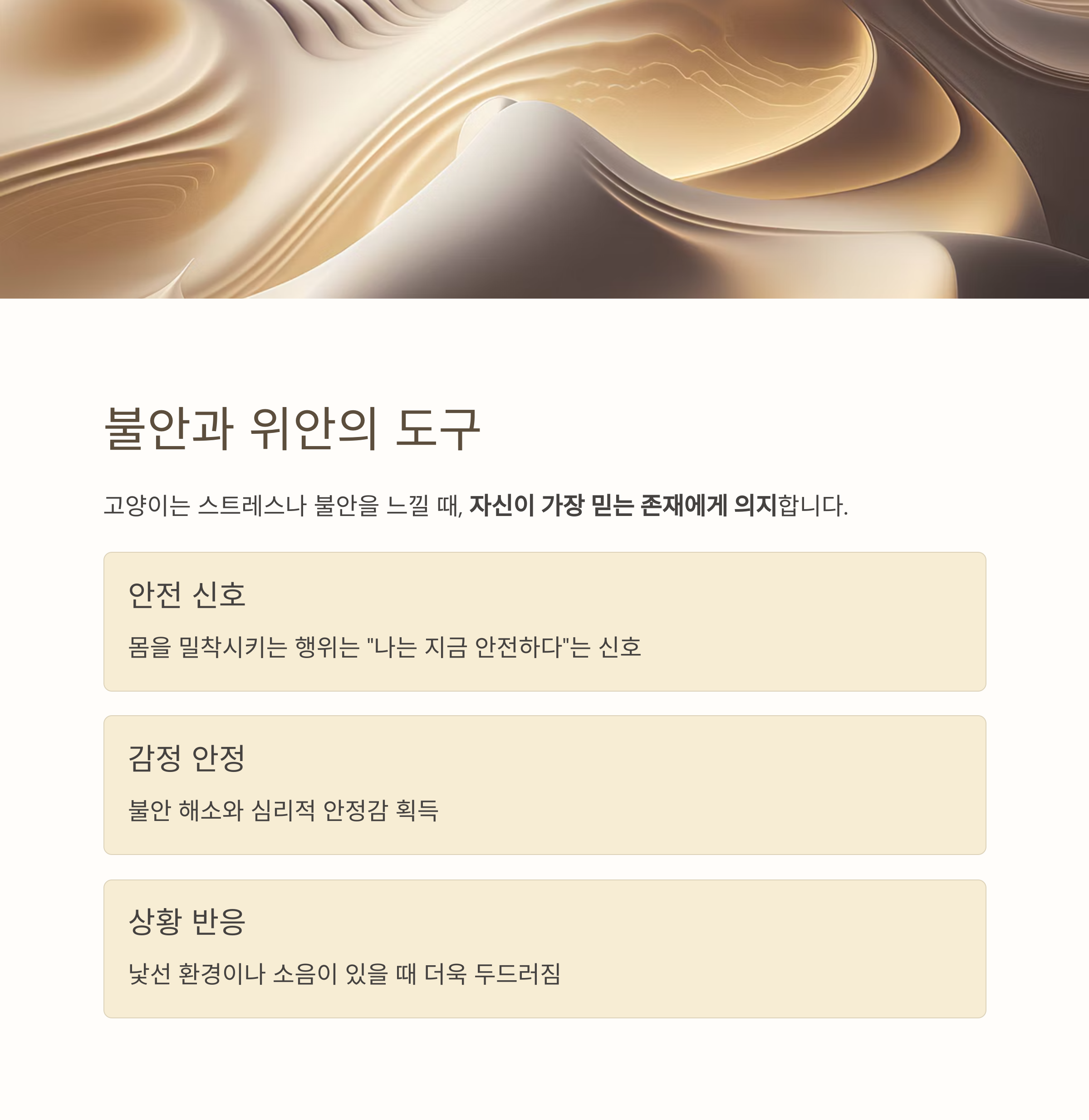 불안과 위안의 도구