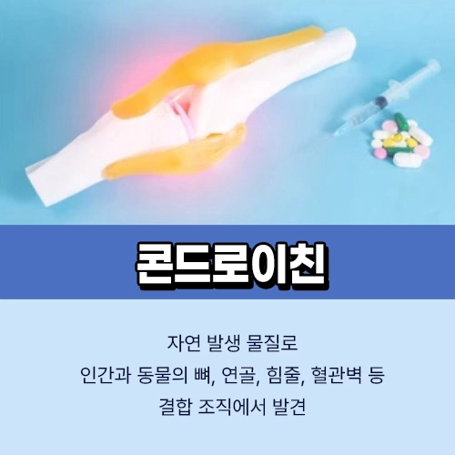 콘드로이친