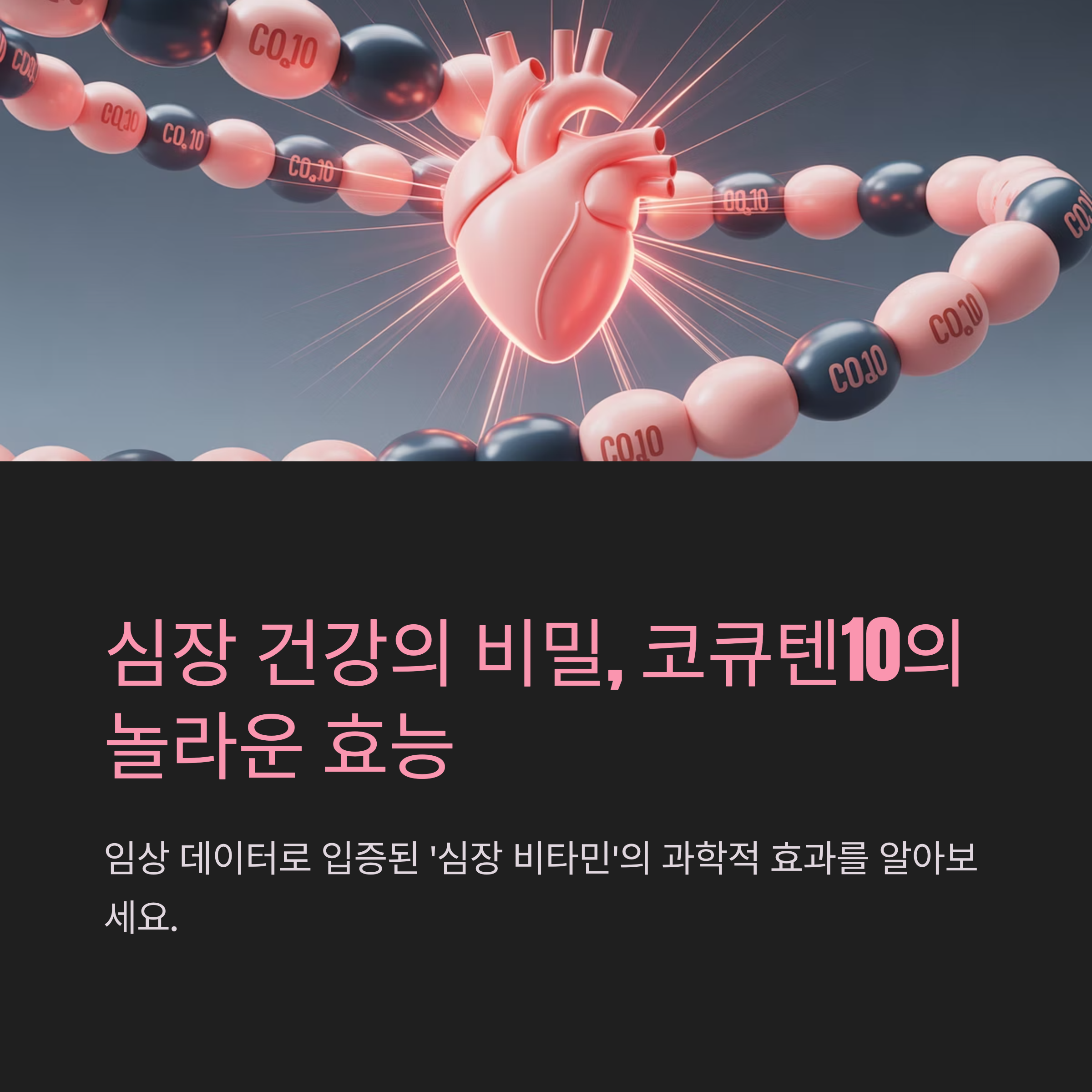 코큐텐10