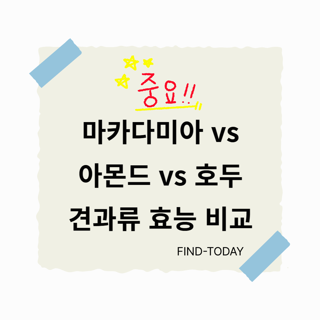 마카다미아 vs 아몬드 vs 호두, 견과류 효능 비교