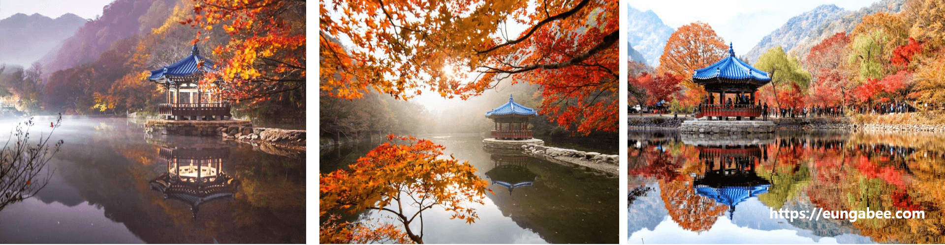 내장산 단풍