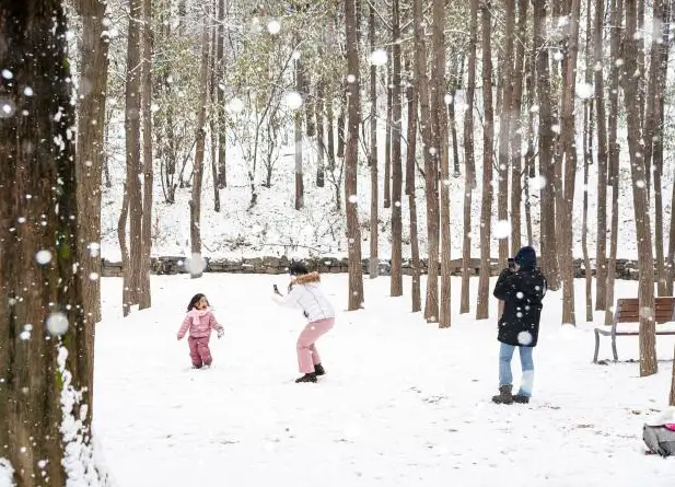 겨울 여행지 추천 서울숲