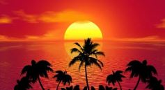 남이섬 배시간표 입장료