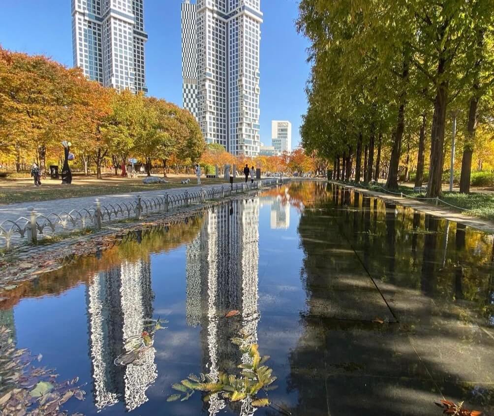 2025 서울숲 튤립 구경 가이드 관련사진