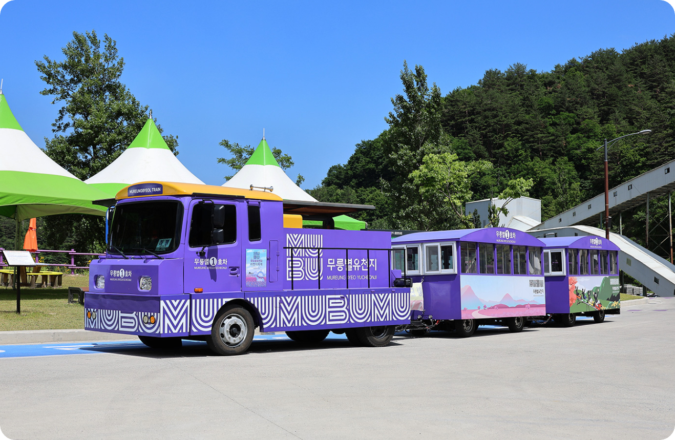 2025 강원도 동해 아이와 함께 가볼만한곳, 무릉별유천지, 라벤더 축제 총정리