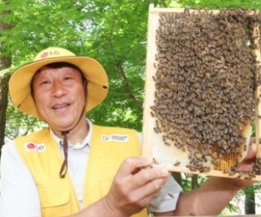 생활의달인-김대립-꿀