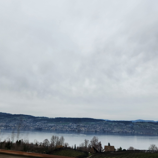 4인 가족 유럽 자동차 렌트카 여행 스위스 루체른 호