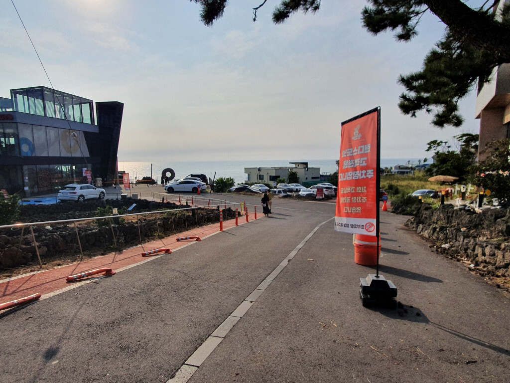 랜디스 도넛 위치