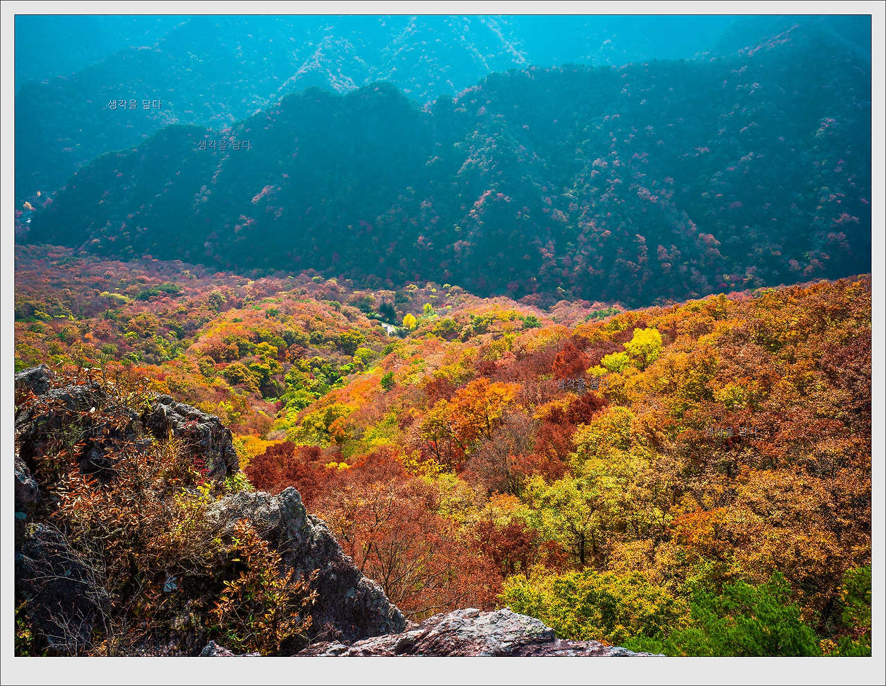 2024 내장산 단풍시기