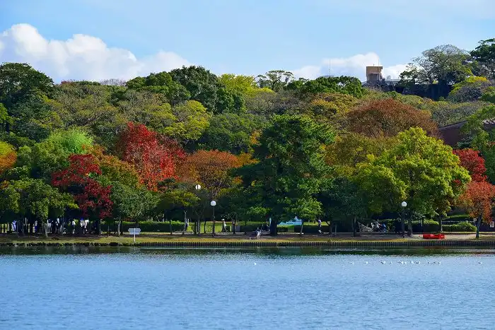 오호리 공원 (大濠公園)